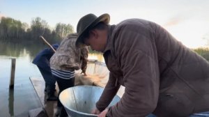 Запуск рыбы в наш пруд/ Выращивание карпа/ Разведение рыбы