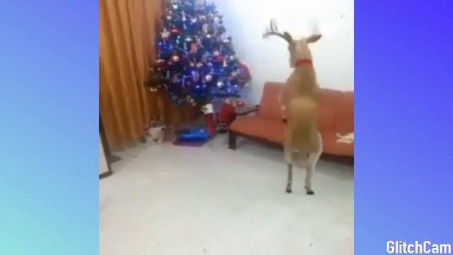 Смешной клип сердце етка смотреть онлайн