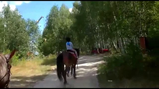 СОФИЙКА и КСЮША катаются на лошадях. смотреть онлайн