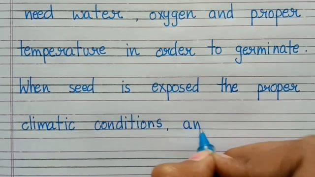 Germination of Seeds/seed germination/What is Germination of seeds || смотреть онлайн