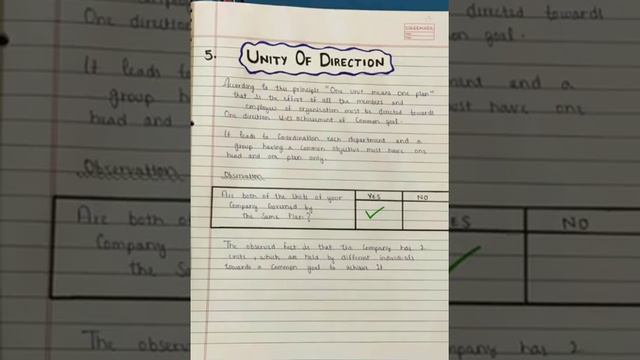 Class 12 Business Studies project Project on Principles Of Management with PDF смотреть онлайн