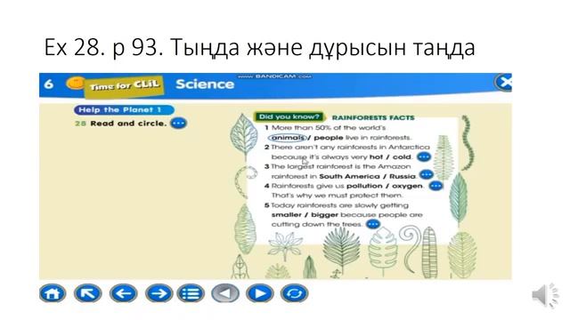 Save our animals 2 smiles 4 смотреть онлайн