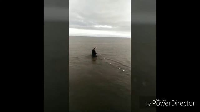 Bank kartasi borlar ehtiyot boʻling. Банк картасти борлар ехтийот болинг!!! смотреть онлайн