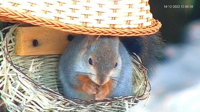 ЛОВИ ЖЕ МИГ \ CATCH THE MOMENT смотреть онлайн