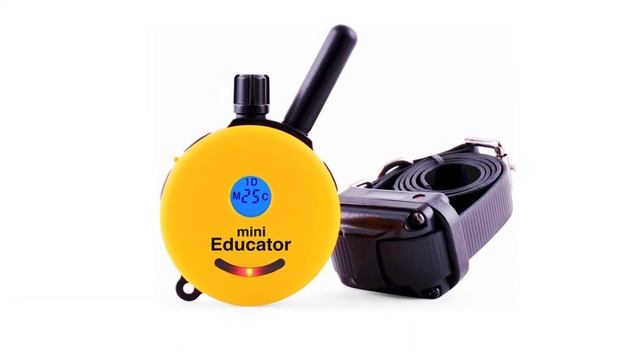 Features Of ET 300 Mini Educator E Collar In 2022 смотреть онлайн