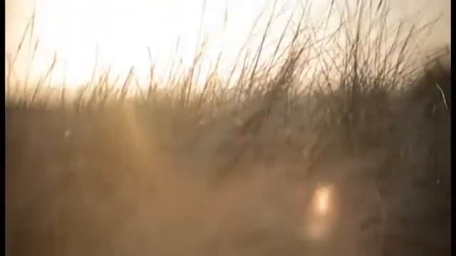 ЛЮБОВЬ в твоей жизни  НАВСЕГДА!  Парфюмерная вода для женщин Vent D' Aventures POUR FEMME