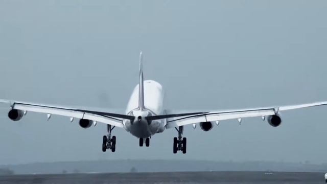 Собачья академия. 5 выпуск