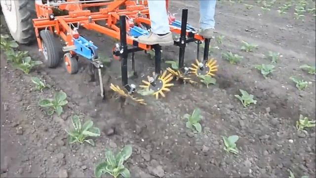 Kult Kress Argus смотреть онлайн