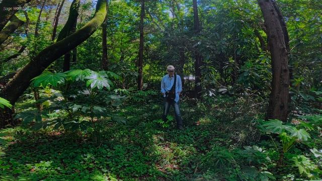 都立光が丘公園情報LOCATION SCOUTING 今日は何処にしようかな 鬼撮👺技術研究室1 смотреть онлайн