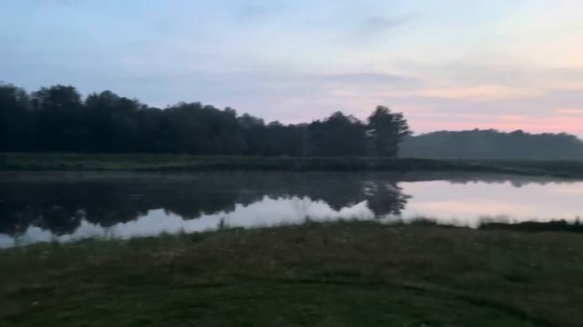 Заготовка сена в этом году не может не радовать | Сенокос 2024 смотреть онлайн