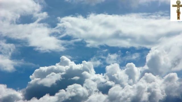 о злопамятстве смотреть онлайн