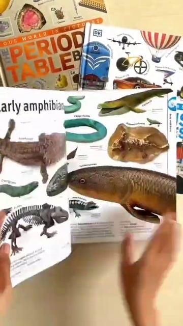 DK Our World In Pictures Kolase Periodic Table, Cars, Trees, Dinosaurs, Rock