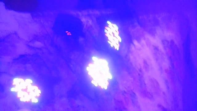 Par 36 Led com entrada e saida DMX trocados смотреть онлайн