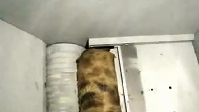 SL-SHR-1.340 KAUCHUC смотреть онлайн