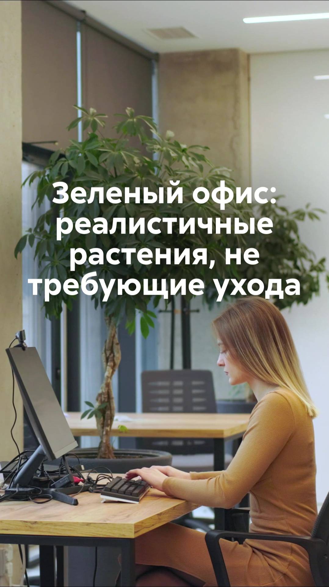 Зеленый офис: красота без усилий смотреть онлайн
