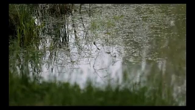 КЗ 15 06 мороженое сжатый смотреть онлайн