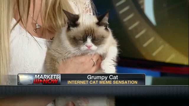 Grumpy Cat Goes to Hollywood смотреть онлайн