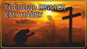 Удивительные Истории Зрителей Канала ｜ часть 16