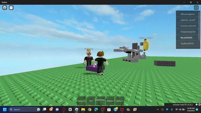 Infinite Yield Trolling