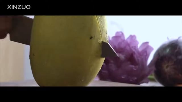 XINZUO 8'' Chef Knife German Stainless Steel