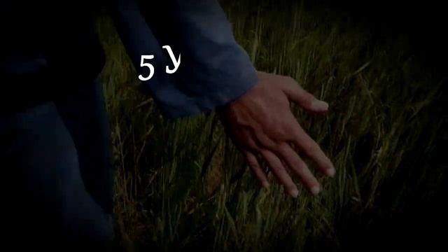 Онлайн-курс 