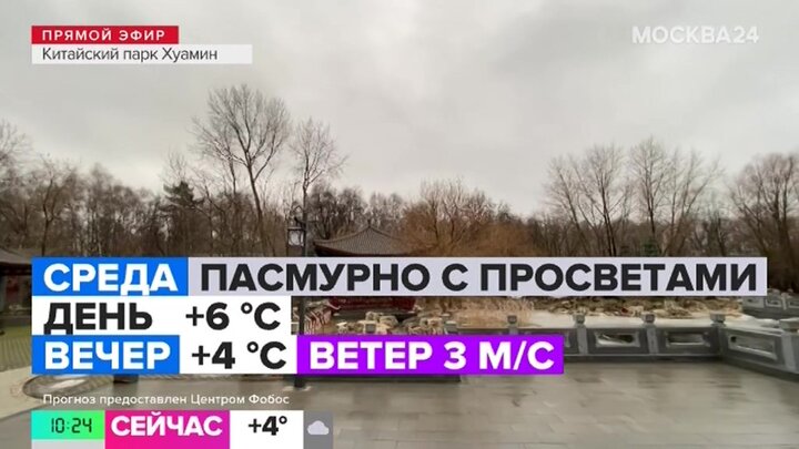 "Утро": москвичам рассказали о погоде 29 января смотреть онлайн