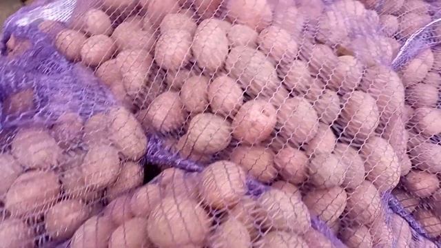 Ред Скарлет насінневий матеріал ІІ репродукція смотреть онлайн