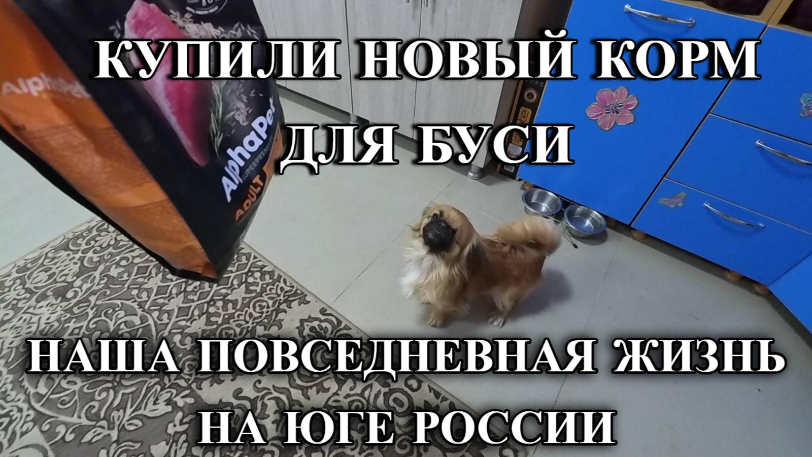 806ч Переехали жить на юг/Купили новый дом/Наша жизнь на Кубани смотреть онлайн