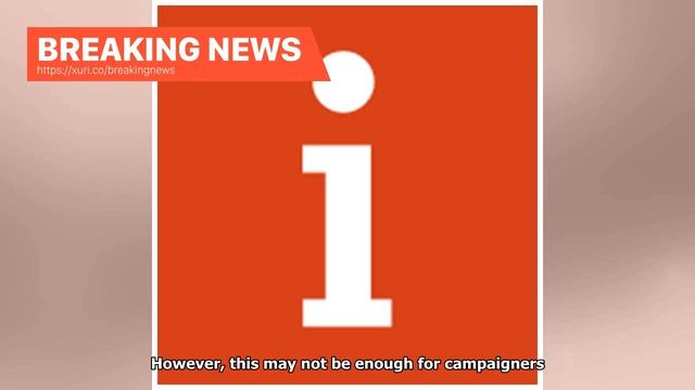 Breaking News - Brexit can see chlorine-washed meat in the United Kingdom смотреть онлайн