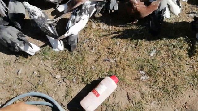 КОНЕЦ СЕЗОНА. смотреть онлайн