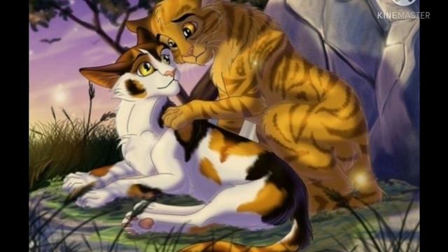 7 Котов Воителей, из которых получились отличные предводители "1//??" смотреть онлайн