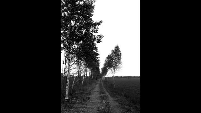 Александр Плечко смотреть онлайн