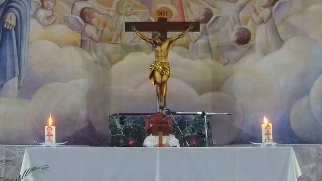 23 de Abril / Octava de Pascua смотреть онлайн