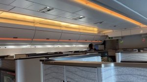 Turkish Airlines (Aeroflot) A350-900 Business Class Long-Haul Flight