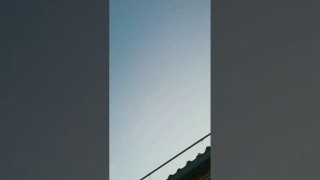 как мы саранчу гоняли) нашествие саранчи было😢 смотреть онлайн