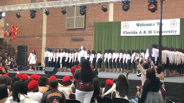 Delta Sigma Theta, Inc. Beta Alpha Chapter 2019 Probate смотреть онлайн