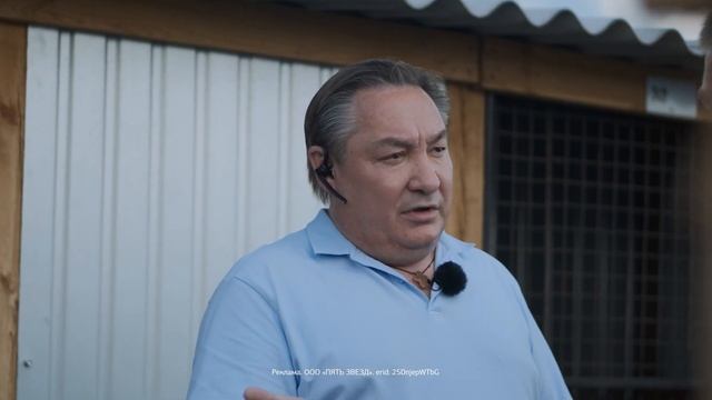Как они живут, эти собаки? Что сейчас происходит с отловленными животными в приюте смотреть онлайн