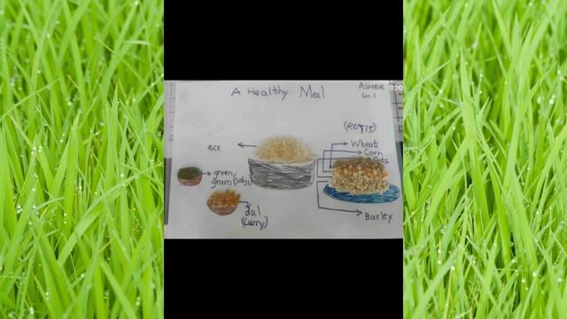 Home economics and club activities September 2022-2023 - Excelsior English School смотреть онлайн