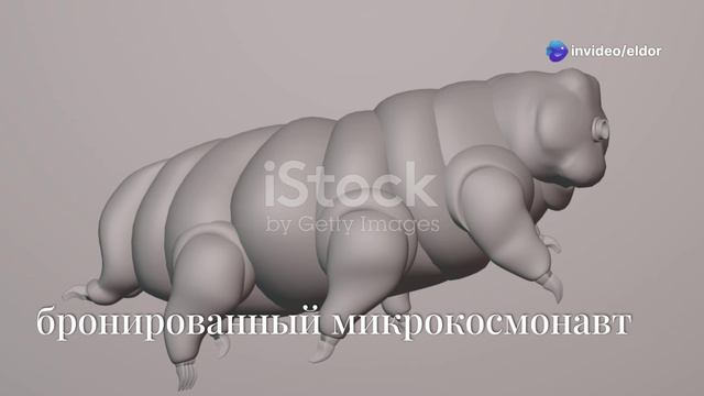 интересные факты о животных