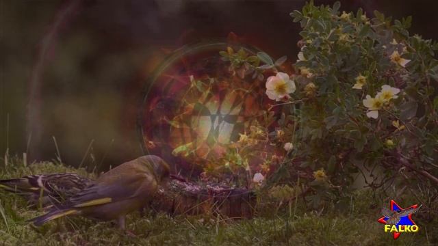 Нервная система.  Nervous System.