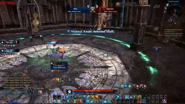 Tera online - Skyring arena - Mystic POV смотреть онлайн