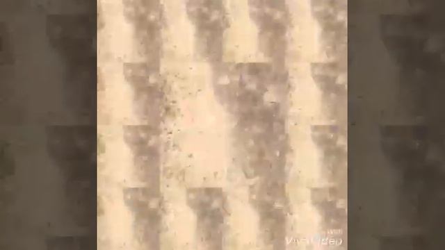 Встретился с Махой смотреть онлайн