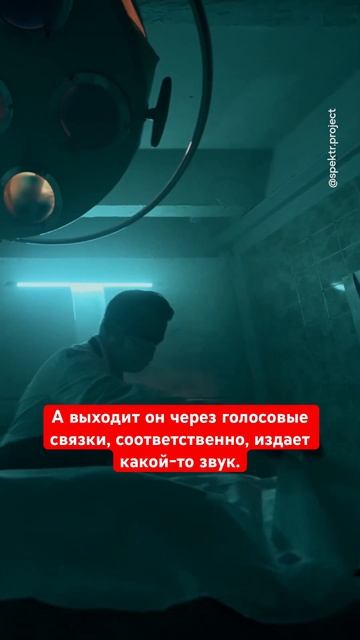 Истории из морга #спектр #интервью #жизненныеистории #shorts смотреть онлайн