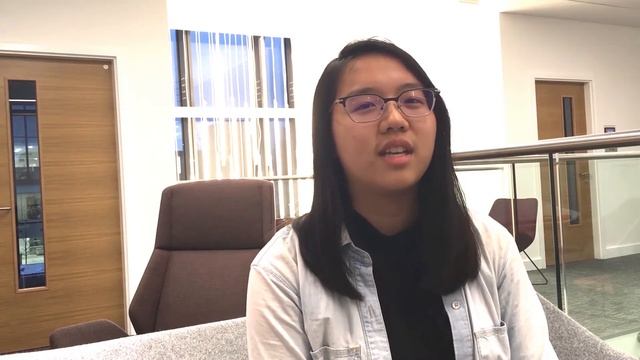Persis Ke - NYU Stern School of Business exchange programme смотреть онлайн