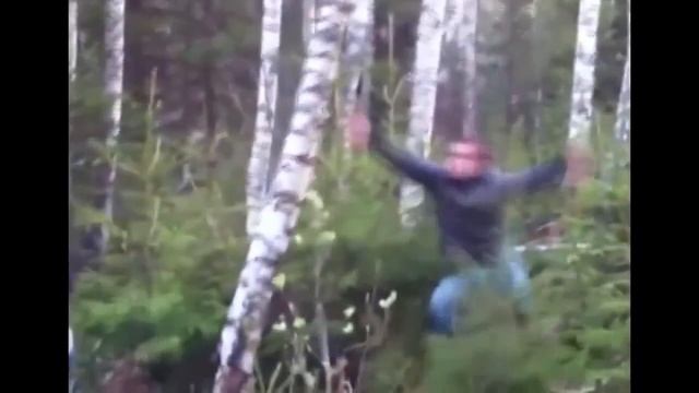 Берёза отомстила