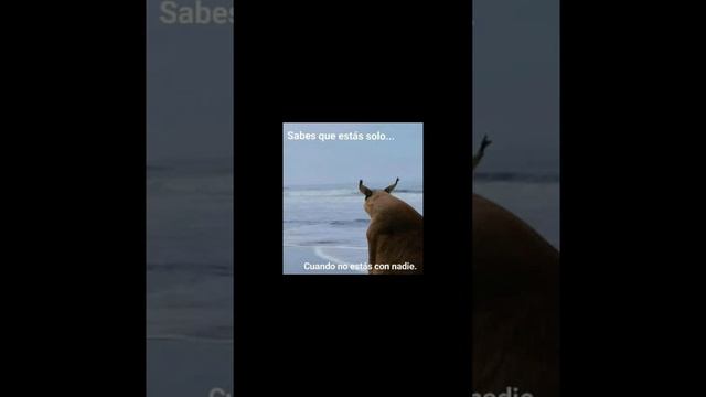 Space Cowboy - Speed Up