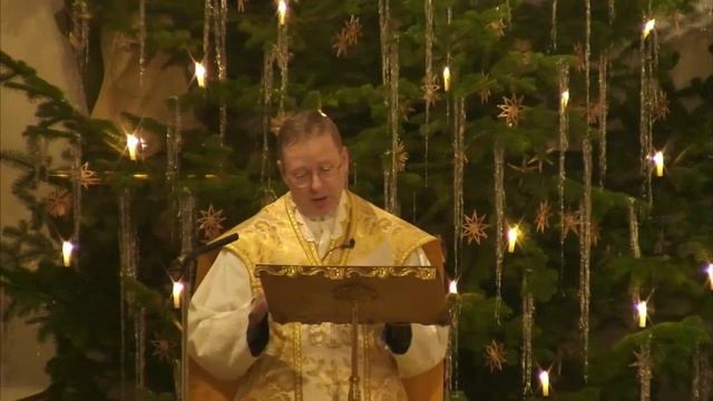 Weihnachtspredigt in der Christmette 2020 - P. Pascal Schreiber смотреть онлайн