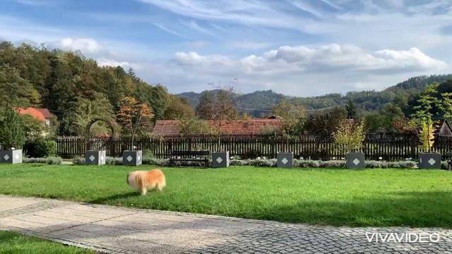 Podčetrtek, Slovenia, Terme Olimia and Deer farm/ Подчетртек, Словения, Термы и Оленья ферма смотреть онлайн