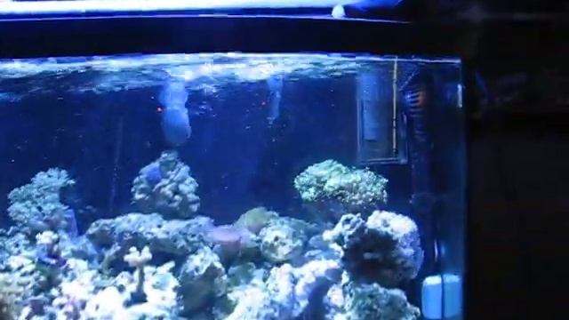 New Vortech Eco Smart Driver MP40ES смотреть онлайн