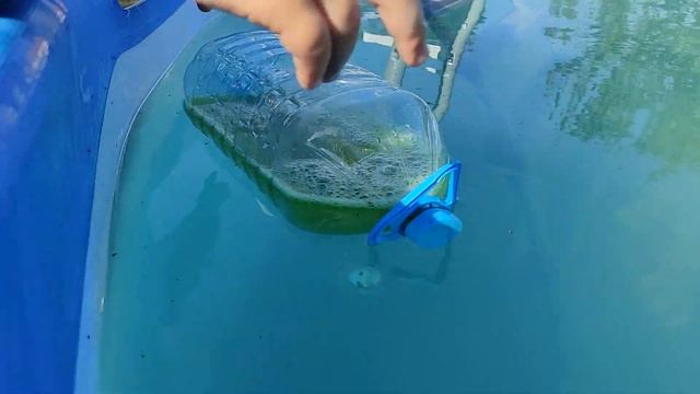 ЭКСПЕРИМЕНТ В БАССЕЙНЕ смотреть онлайн